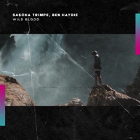 Wild Blood - Single - Sascha Trimpe & Ben Haydie