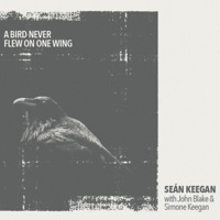 A Bird Never Flew on One Wing by Seán Keegan on Apple Music