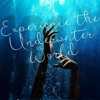 Experience the Underwater World