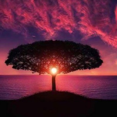 Zahir Music - Aleyna tilki nasip değilmiş (Canlı)