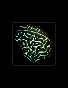 Rob Chew dinle, müzik videolarını izle, biyografisini oku, tur tarihlerini ve daha fazlasını gör!