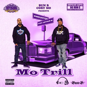 This World (feat. Big K.R.I.T., Trae Tha Truth & Raheem DeVaughn) [Chop Not Slop Remix]