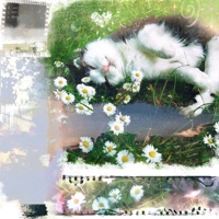 полюбить - Single - athysue