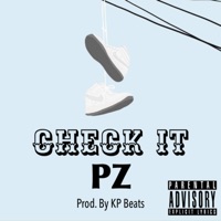 Check It - Single - PZ
