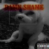 Damn Shame - Single