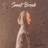 Small Break - Single