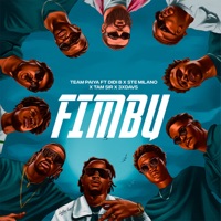Fimbu (feat. Didi B, Ste Milano, Tam Sir & 3xdavs) - Single - Team Paiya