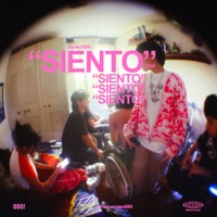 Siento - Single - Ryoku & zzits
