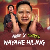 Wayahe Hiling (feat. Ndarboy Genk) artwork