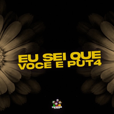 Eu Sei Que Você E Put4 - Single