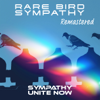 Sympathy (Remastered 2022) [Rerecording] - Rare Bird