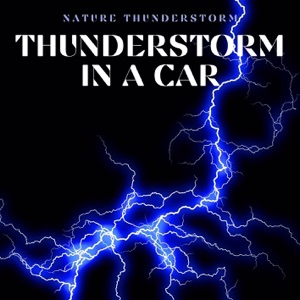 Thunderstorm in a Car