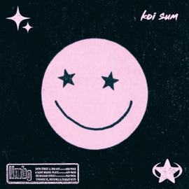 Back Then koi.sum
