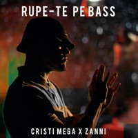 Rupe-te pe bass - Single - Cristi Mega & Zanni