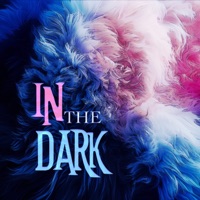 In the Dark (Poppy Playtime) - Single - Scary the Kid & Drop Z