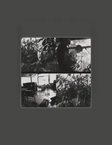 Os Ossosを聴いたり、ミュージックビデオを鑑賞したり、経歴やツアー日程などを確認したりしましょう！