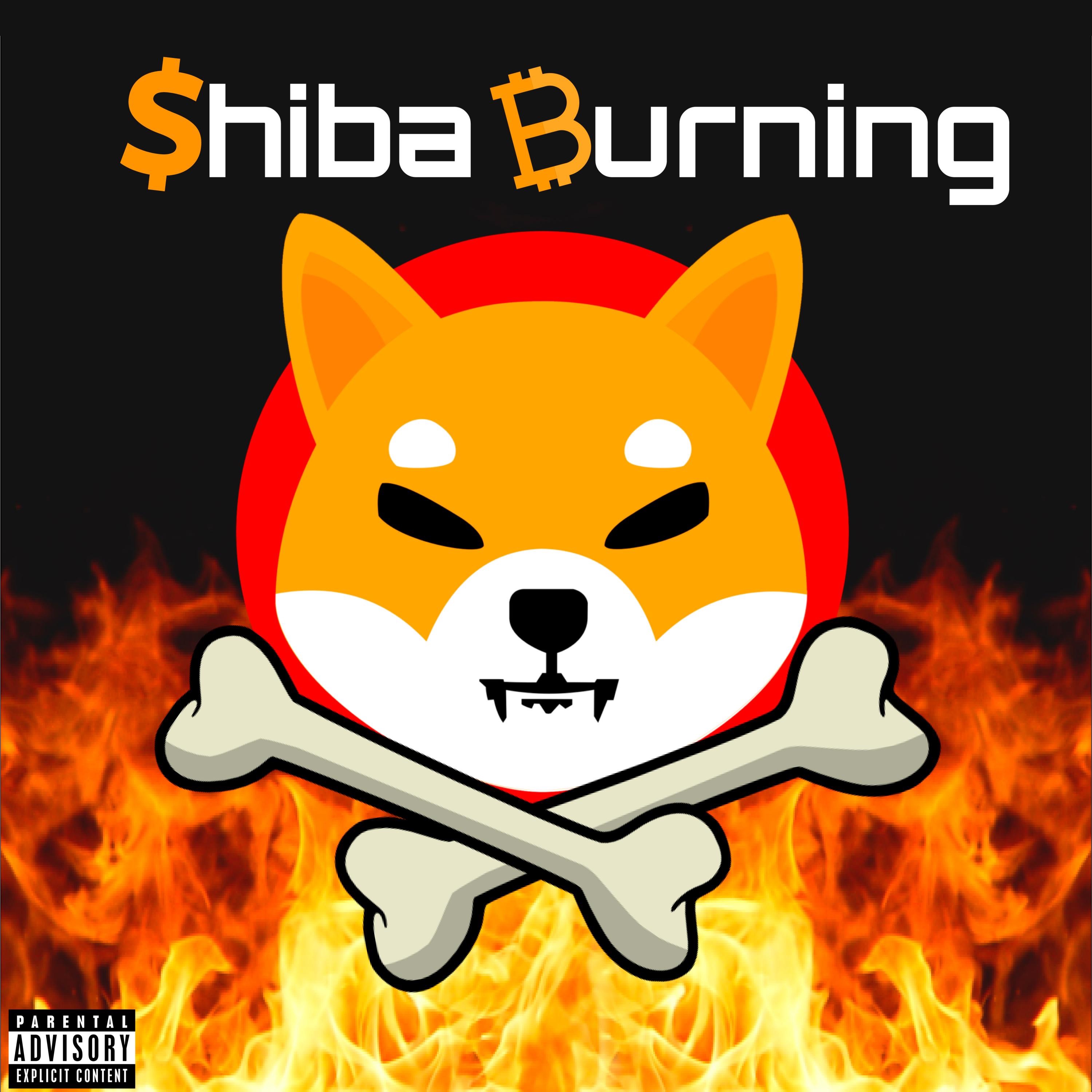Shiba Burning