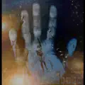Free From You