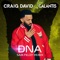 Dna - Galantis & Craig David lyrics