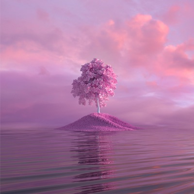 Feel The Same - Single