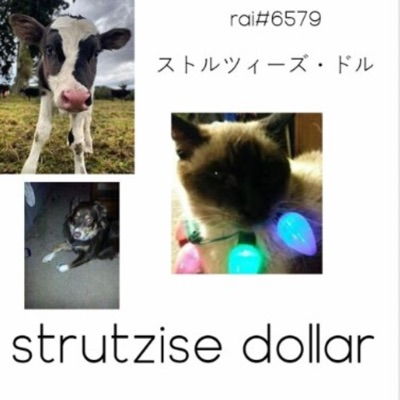 Strutzise Dollar