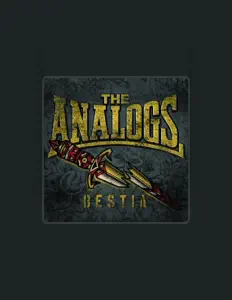 Escucha a The Analogs, mira videos musicales, lee su biografía, consulta las fechas de las gira y más.