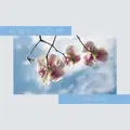 Abloom