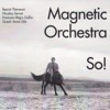 Magnetic Orchestra