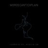 Words Can't Explain (feat. Stevie Jo) - Single