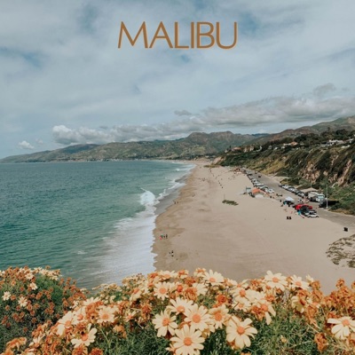 Malibu - Single