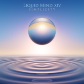 Liquid Mind XIV: Simplicity artwork