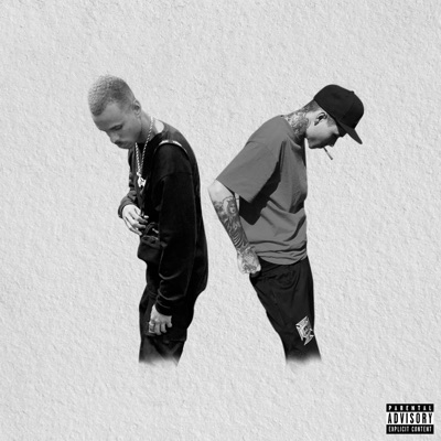 Águia Não Voa Com Ganso (feat. Rzin) - Single