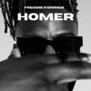 Homer cover art