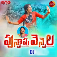Punnapu Vennela Dj - Single - Relare Ganga