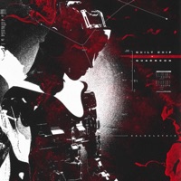 Calculatrix - Single - Guilt Chip & Quackson