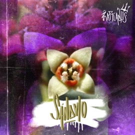 Sándalo (feat. juxncta, NAVA & Zrtre) LOOP X