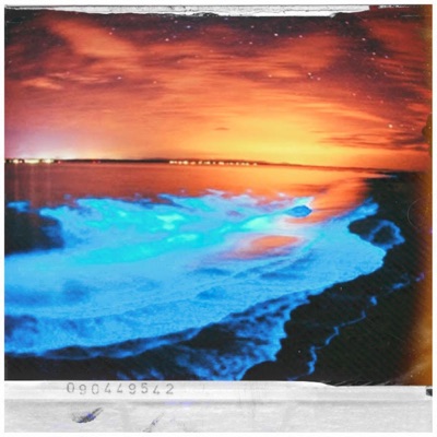 Stay the Night (feat. Sebastián Lopez) - Single