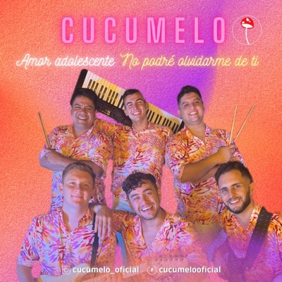 Amor adolescente / No podre olvidarme de ti - Single