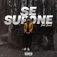 Se Supone - Single - didiboost