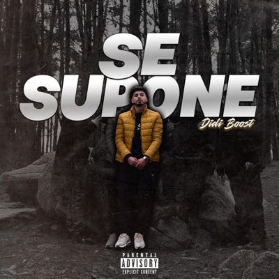 Se Supone - Single