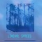 Liminal Spaces - XC10 lyrics