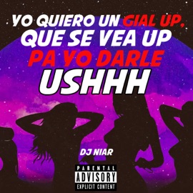 Yo Quiero un Gial Up, Que Se Vea Up Pa' Yo Darle Ushhh DJ Niar