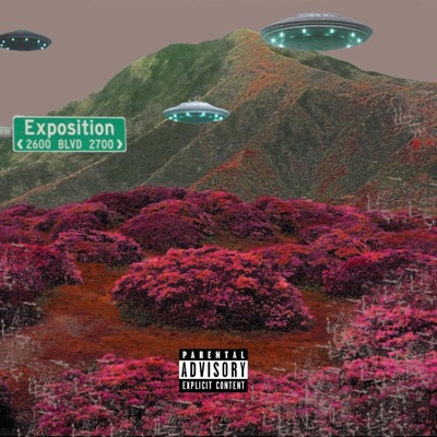 Chronicles of Exposition