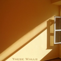 These Walls (feat. Mimi Rose) - Single - Metromover