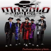 No Bailes De Tacuachito