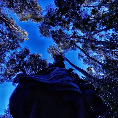 Ya no voy a escapar - Single