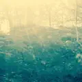 Bouncing Clouds