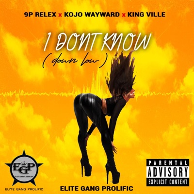 I DONT KNOW(DOWN LOW) - Single
