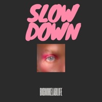 SlowDown - Single - BigMikeLabLife