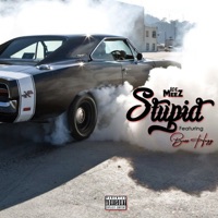 Stupid (feat. Boss Hogg) - Single - Ice Meez